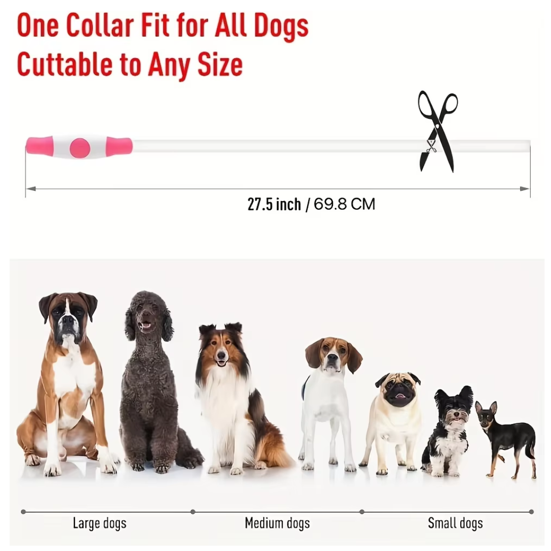 Collier LED GlowSafe pour Chien – Lumière de Sécurité Rechargeable USB