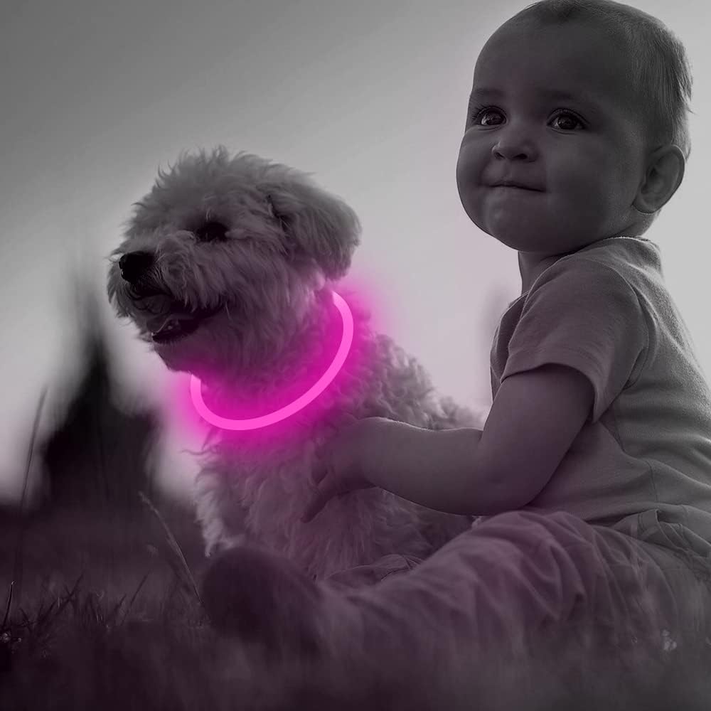 Collier LED GlowSafe pour Chien – Lumière de Sécurité Rechargeable USB