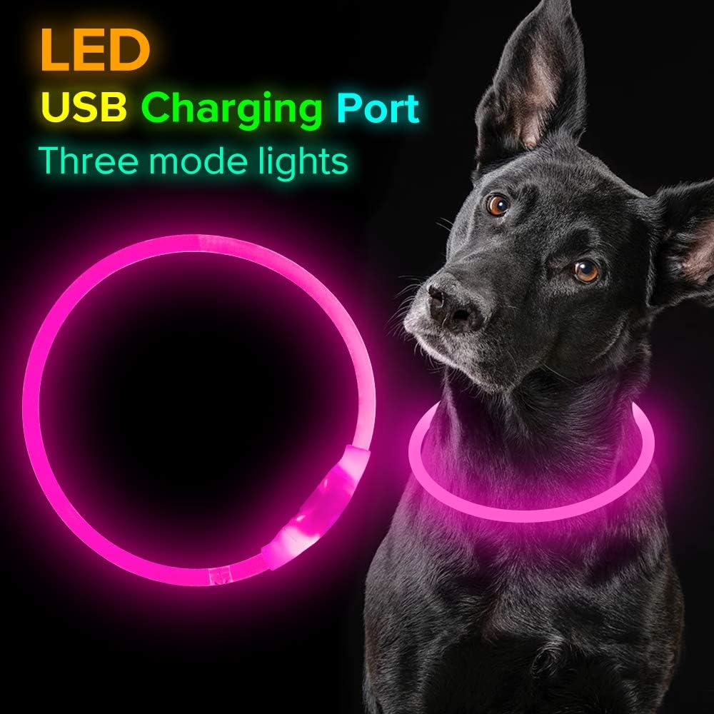 Collier LED GlowSafe pour Chien – Lumière de Sécurité Rechargeable USB