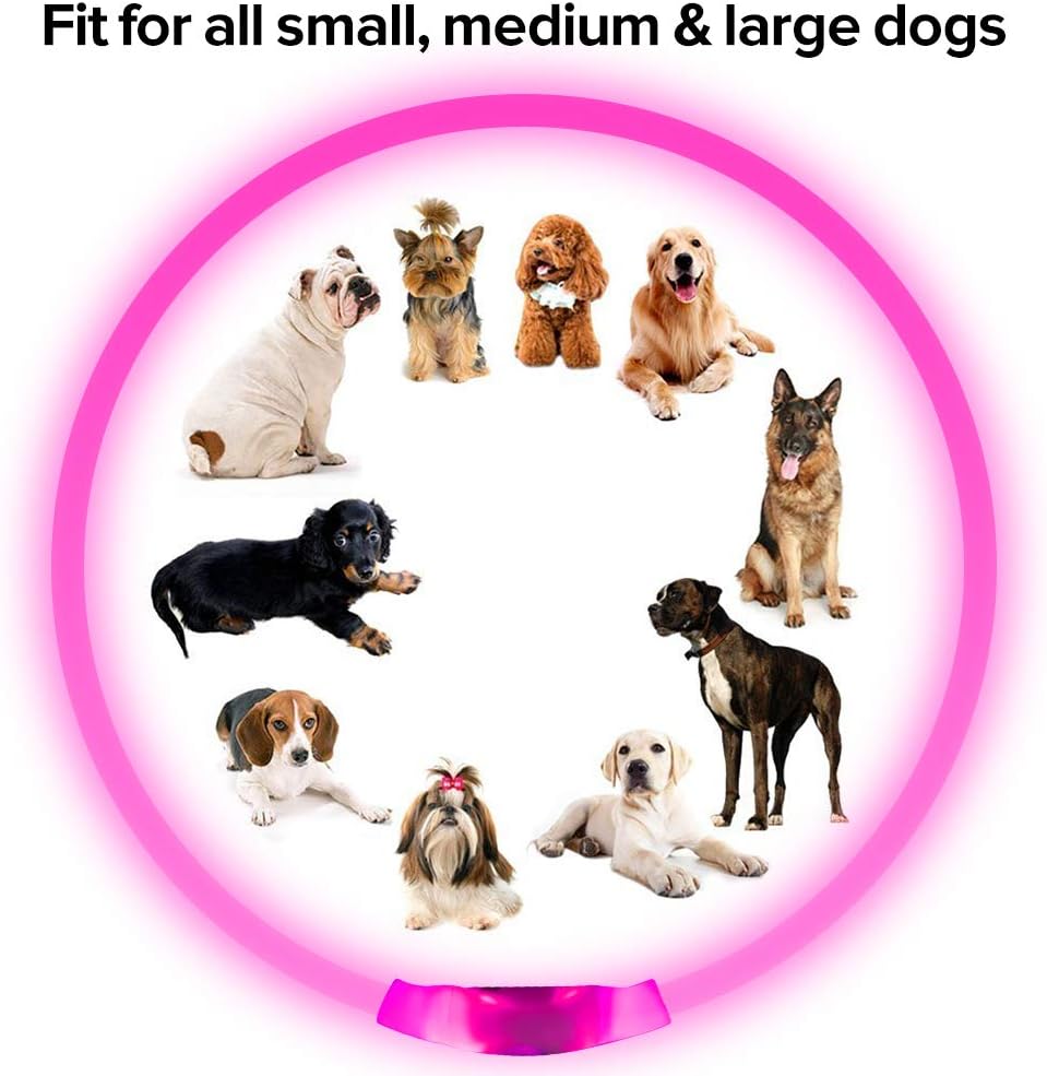 Collier LED GlowSafe pour Chien – Lumière de Sécurité Rechargeable USB