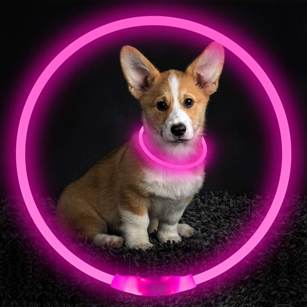 Collier LED GlowSafe pour Chien – Lumière de Sécurité Rechargeable USB