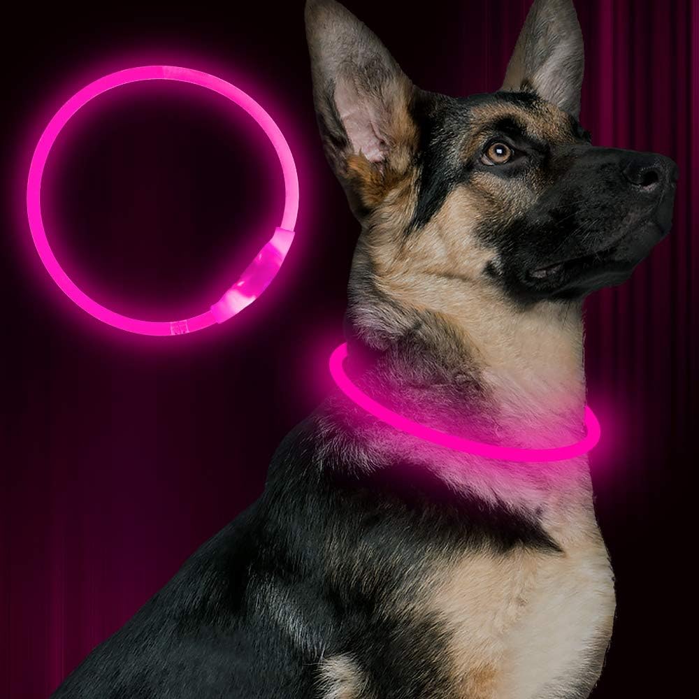 Collier LED GlowSafe pour Chien – Lumière de Sécurité Rechargeable USB