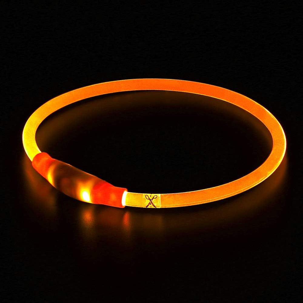 Collier LED GlowSafe pour Chien – Lumière de Sécurité Rechargeable USB