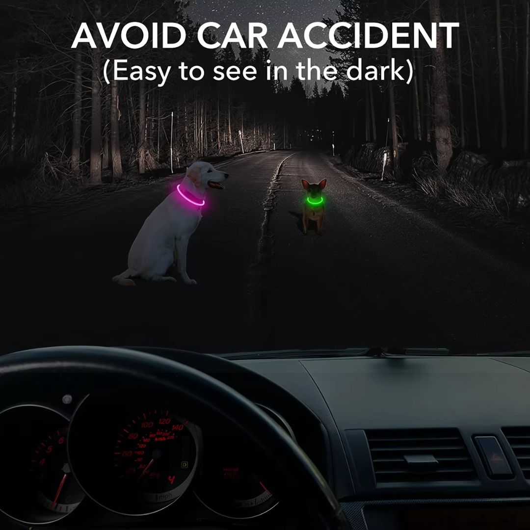 Collier LED GlowSafe pour Chien – Lumière de Sécurité Rechargeable USB
