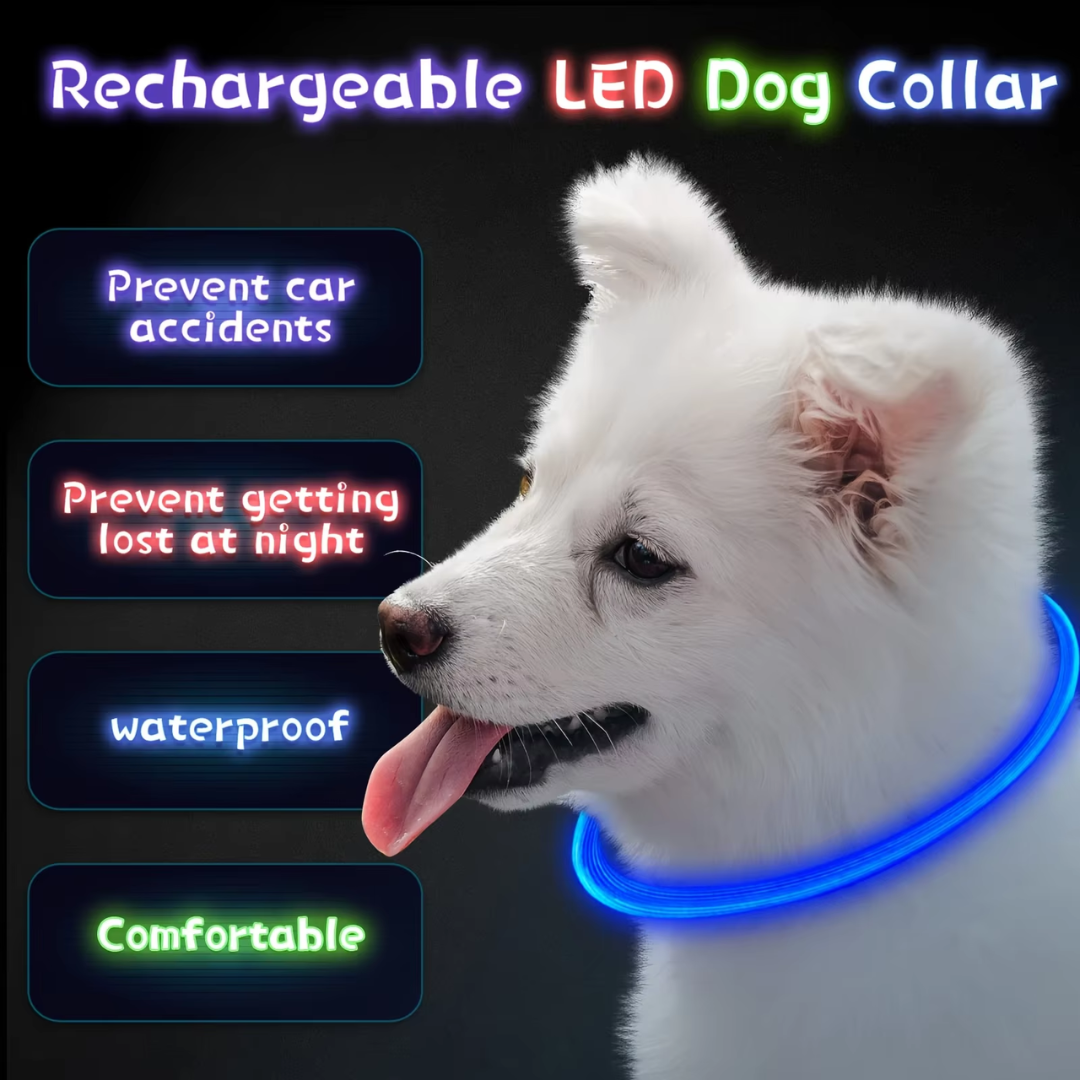 Collier LED GlowSafe pour Chien – Lumière de Sécurité Rechargeable USB