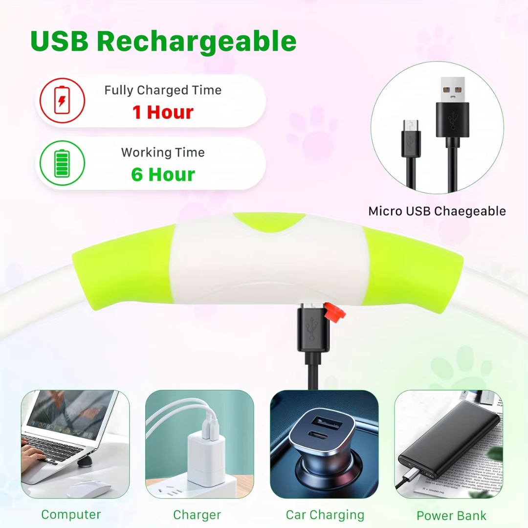 Collier LED GlowSafe pour Chien – Lumière de Sécurité Rechargeable USB