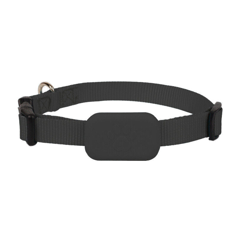 Traceur GPS pour Chien et Chat - Sécurité en Temps Réel