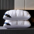 HealthySleep Luxe Coussin de Soutien Cervical pour un Sommeil Profond