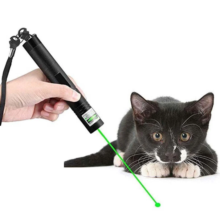 Pointeur Laser Portable Haute Intensité pour Présentations & Extérieur