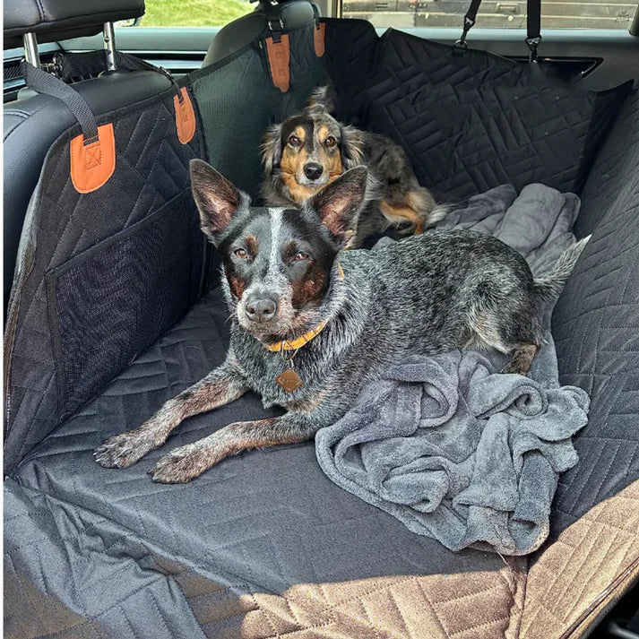 Siège Auto pour Chien - Voyager en Toute Sécurité et Confort avec Votre Compagnon à Quatre Pattes