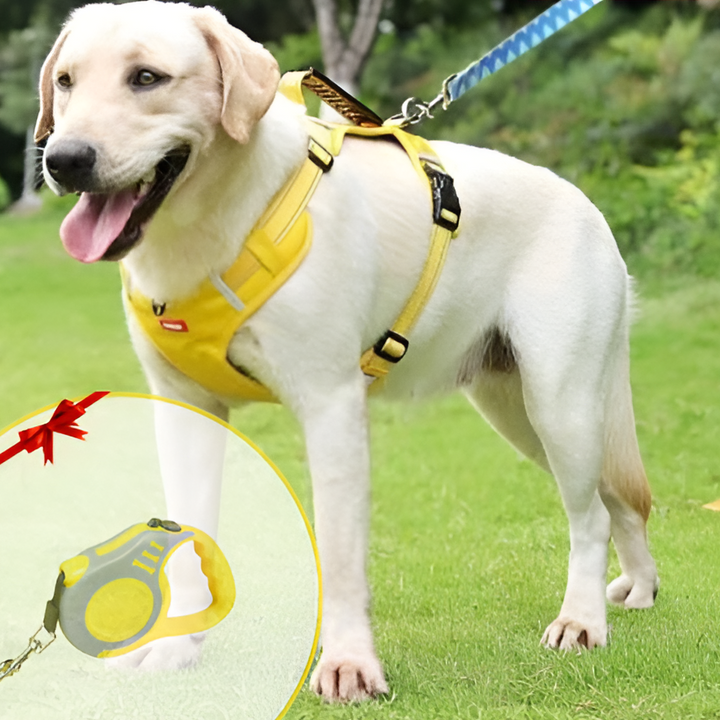 FlexPet Harnais Anti-Tirage pour Chiens - Respirant