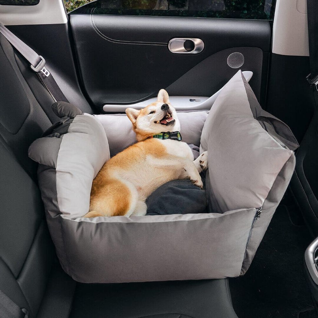 HundeBox™ | Siège auto pour chien | Siège pour chien sur la banquette arrière | Boîte de transport pour chien