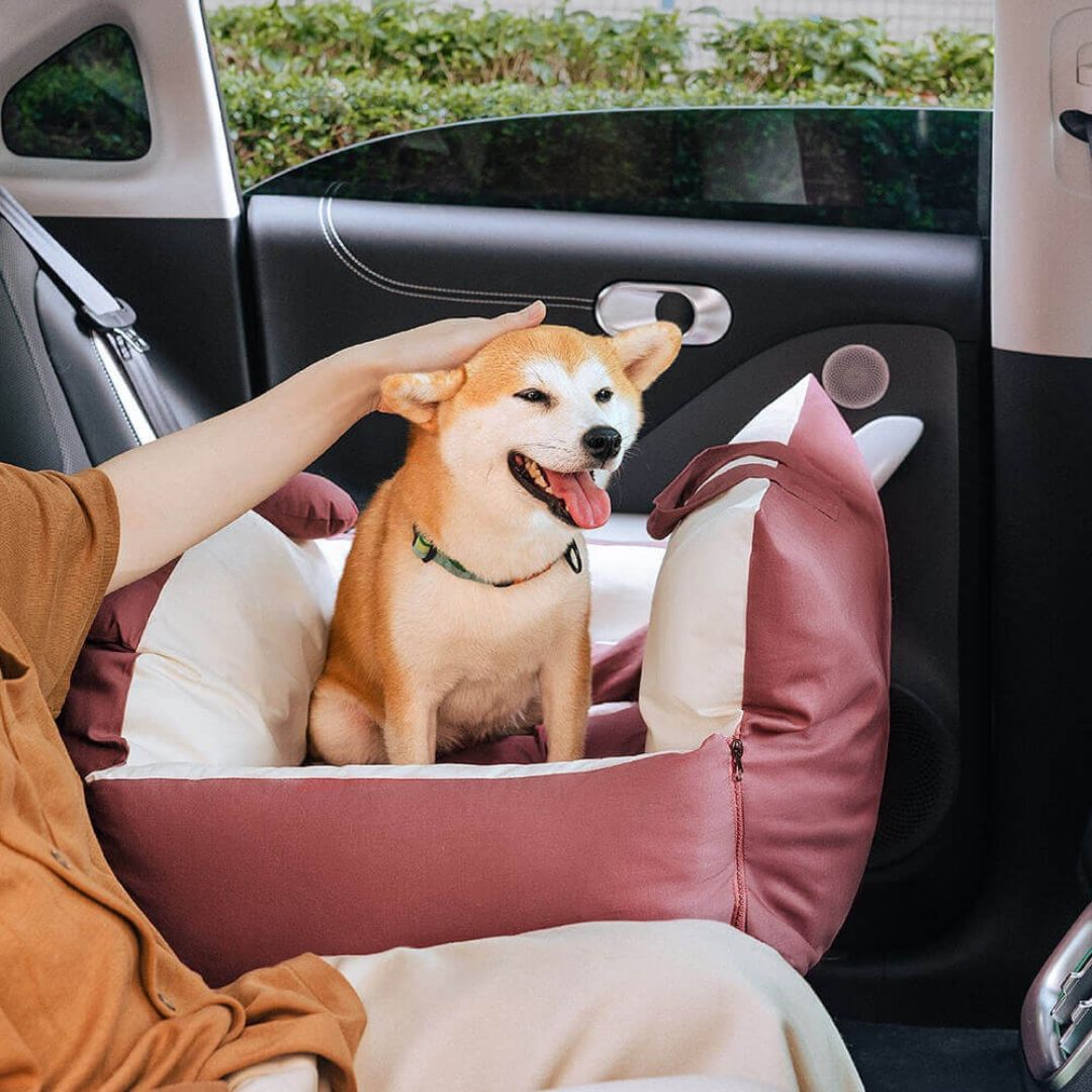 HundeBox™ | Siège auto pour chien | Siège pour chien sur la banquette arrière | Boîte de transport pour chien