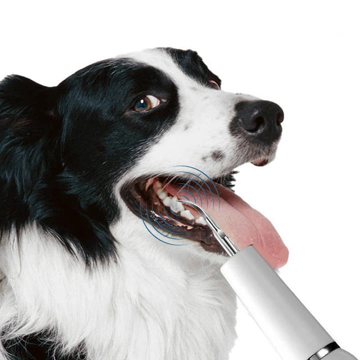 Skanto | Outil de Nettoyage Oral pour Animaux de Compagnie pour une Haleine Fraîche et des Soins de Toilettage