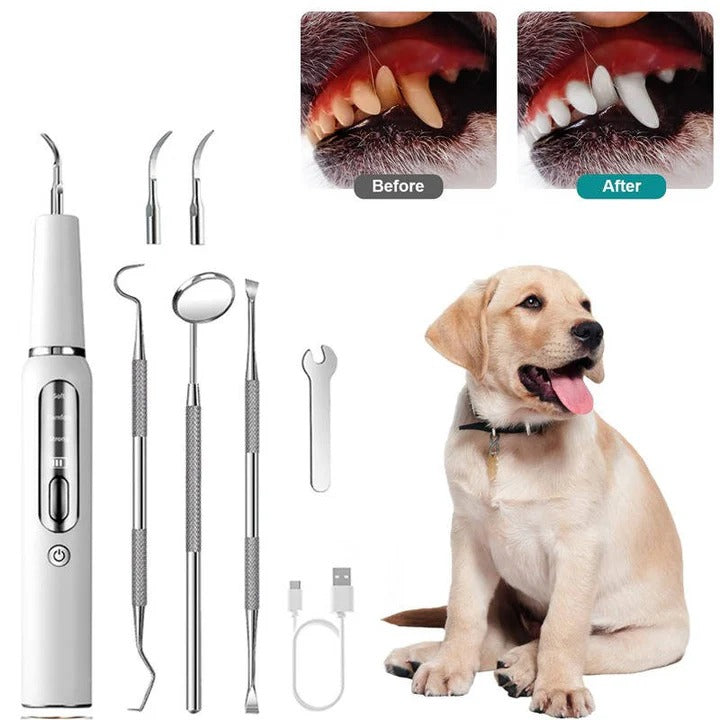 Skanto | Outil de Nettoyage Oral pour Animaux de Compagnie pour une Haleine Fraîche et des Soins de Toilettage