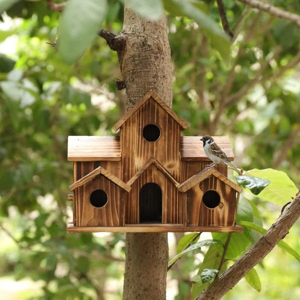 Skanto | Maison à oiseaux en bois fait main avec 6 trous