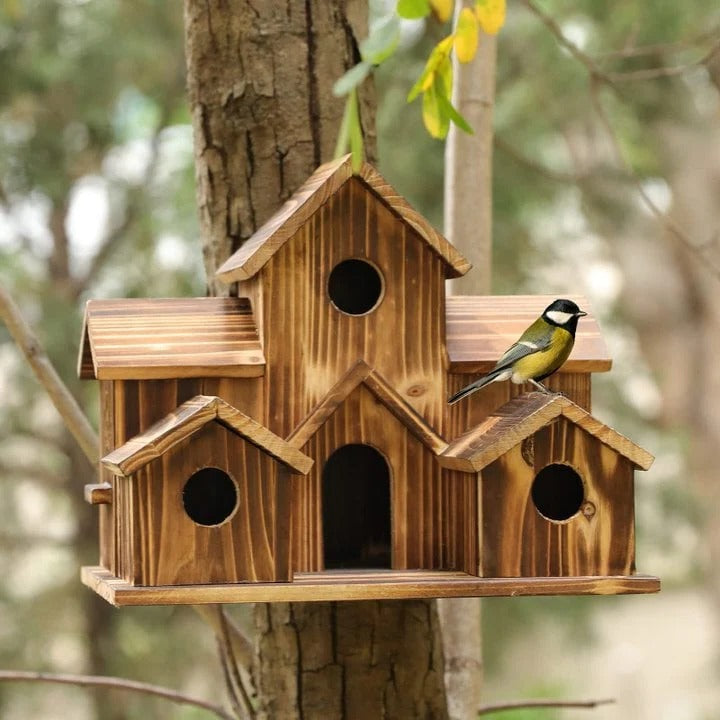 Skanto | Maison à oiseaux en bois fait main avec 6 trous