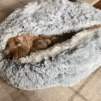 Lit pour animaux Cozy Cave | Lit pour chien apaisant et confortable pour une profonde détente