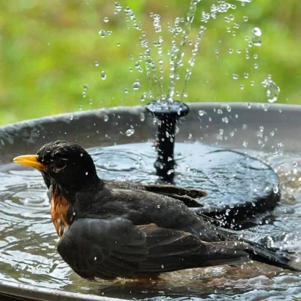 SolarFlow™ | Fontaine Solaire – Flottante, sans électricité & étanche