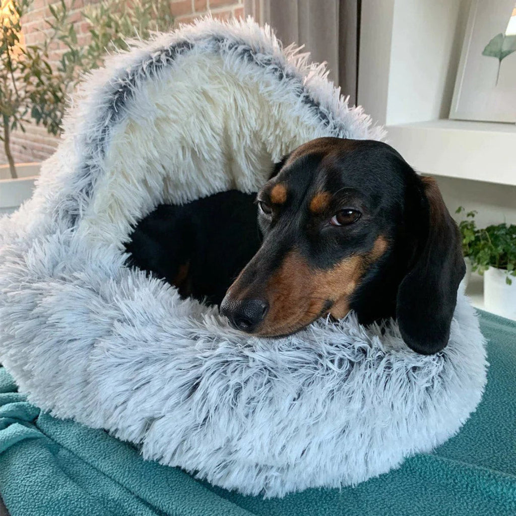 Lit pour animaux Cozy Cave | Lit pour chien apaisant et confortable pour une profonde détente