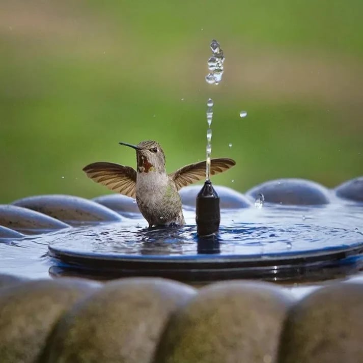SolarFlow™ | Fontaine Solaire – Flottante, sans électricité & étanche