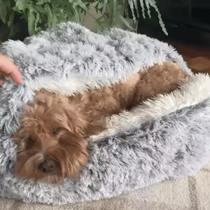 Lit pour animaux Cozy Cave | Lit pour chien apaisant et confortable pour une profonde détente