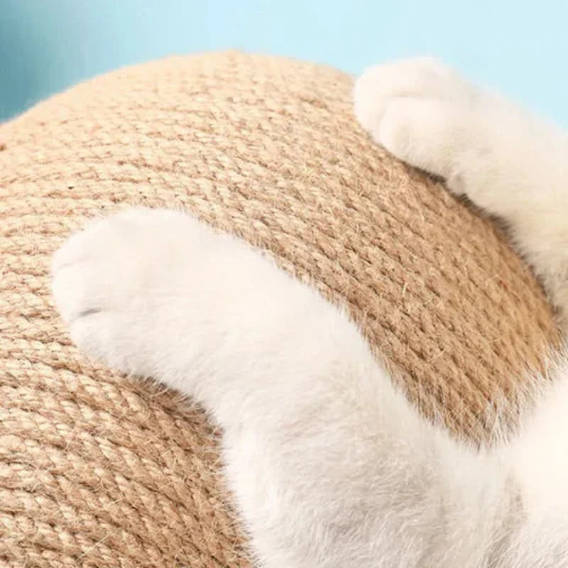Jouet pour chat avec zone de grattage