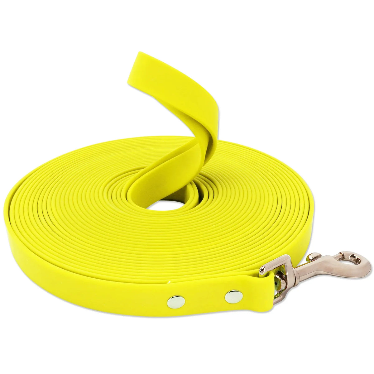 Laisse de Chien Extra Longue Imperméable avec Poignée Confortable