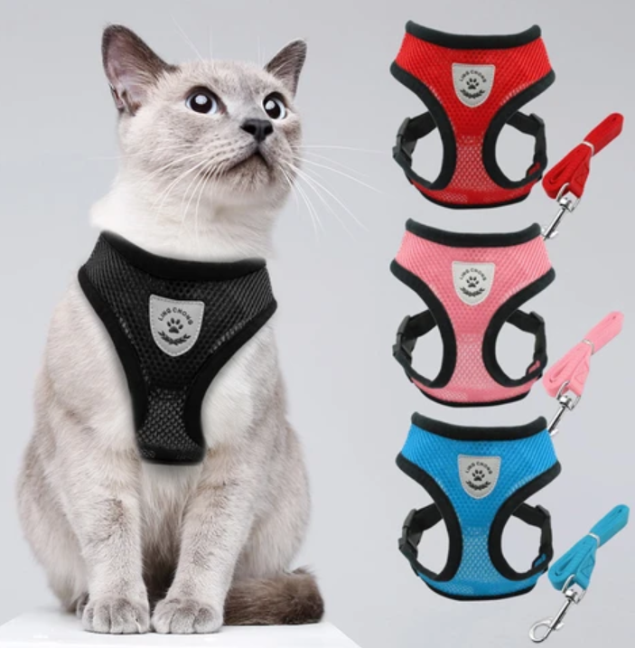 Harnais pour Chat avec Laisse - Sécurité & Confort pour les Aventures
