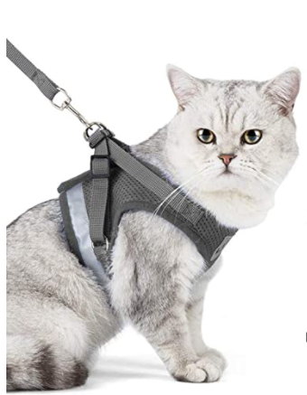 Harnais pour Chat avec Laisse - Sécurité & Confort pour les Aventures