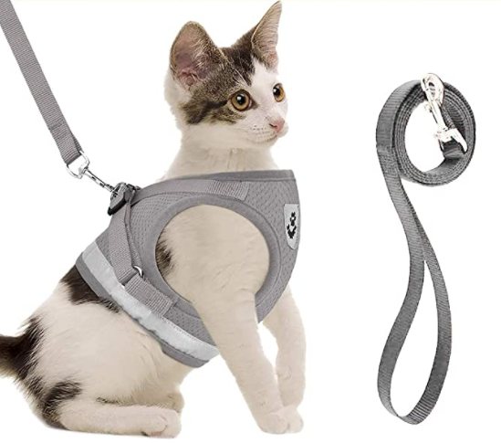 Harnais pour Chat avec Laisse - Sécurité & Confort pour les Aventures