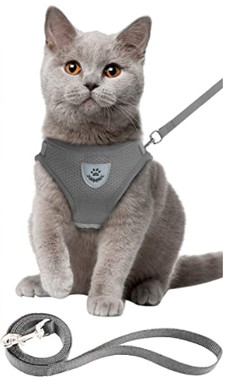 Harnais pour Chat avec Laisse - Sécurité & Confort pour les Aventures