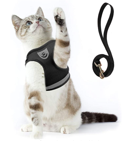 Harnais pour Chat avec Laisse - Sécurité & Confort pour les Aventures