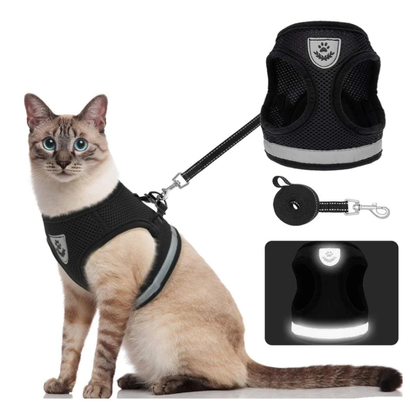 Harnais pour Chat avec Laisse - Sécurité & Confort pour les Aventures