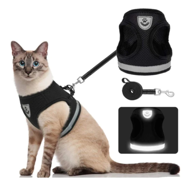Harnais pour Chat avec Laisse - Sécurité & Confort pour les Aventures