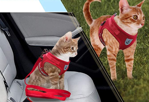 Harnais pour Chat avec Laisse - Sécurité & Confort pour les Aventures