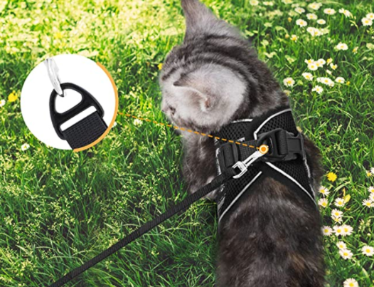 Harnais pour Chat avec Laisse - Sécurité & Confort pour les Aventures