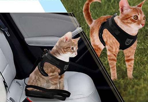 Harnais pour Chat avec Laisse - Sécurité & Confort pour les Aventures
