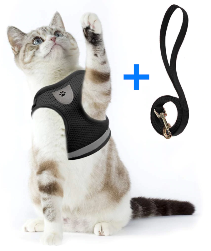 Harnais pour Chat avec Laisse - Sécurité & Confort pour les Aventures
