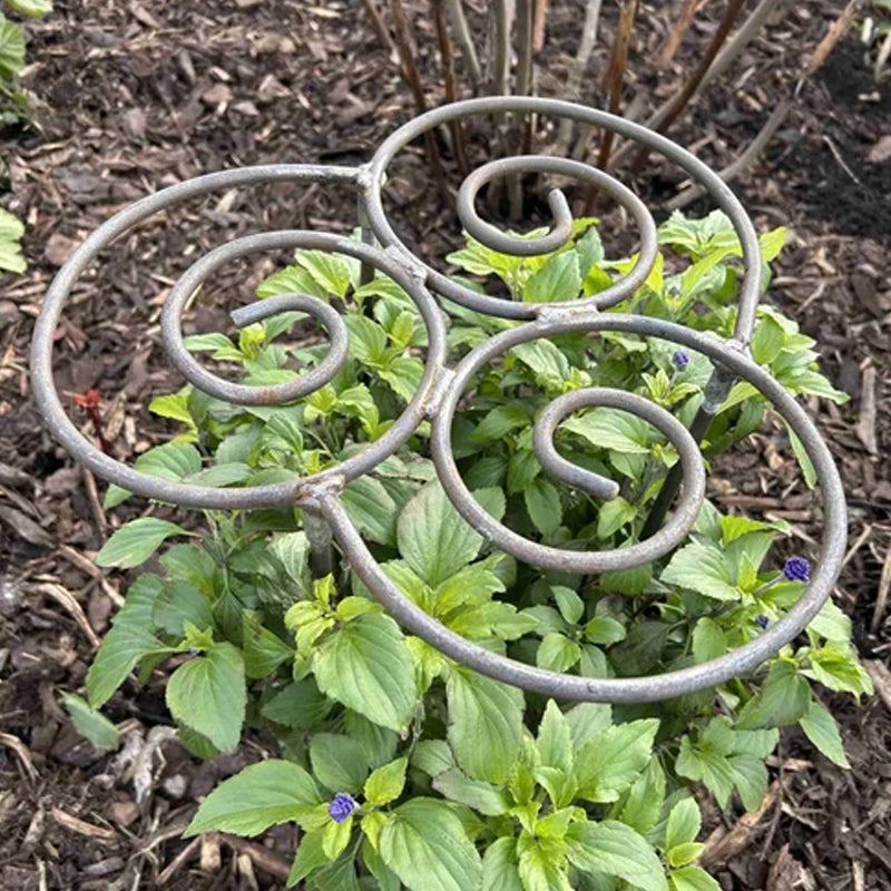 BloomSupport™ | Support de plantes discret pour des fleurs droites et saines