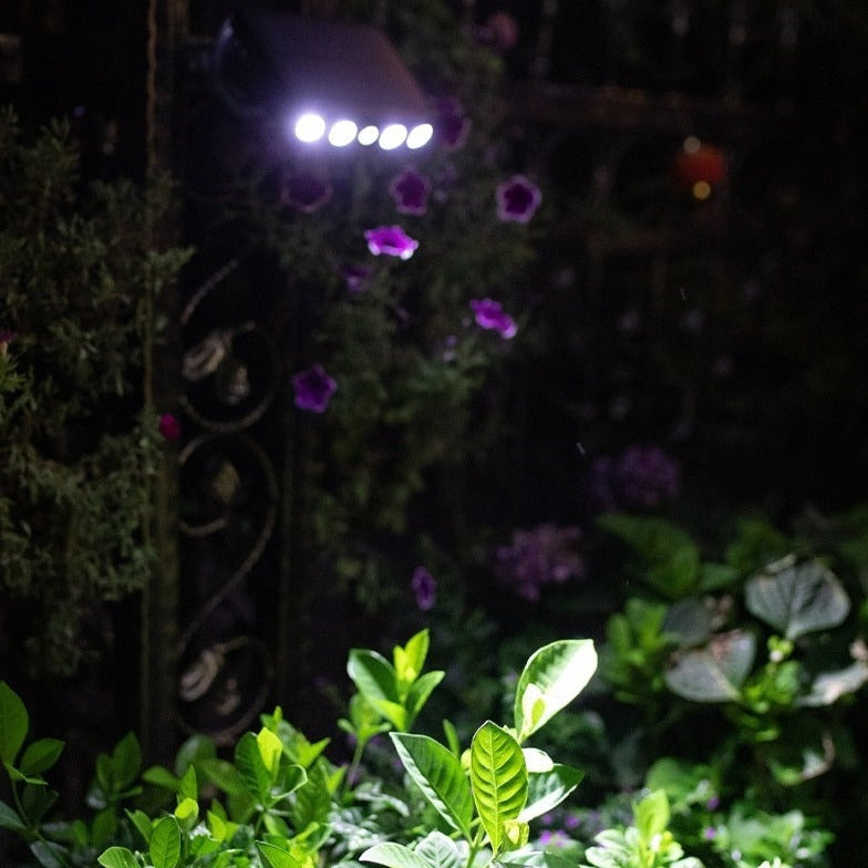 Lampe solaire avec détecteur de mouvement – Lumina