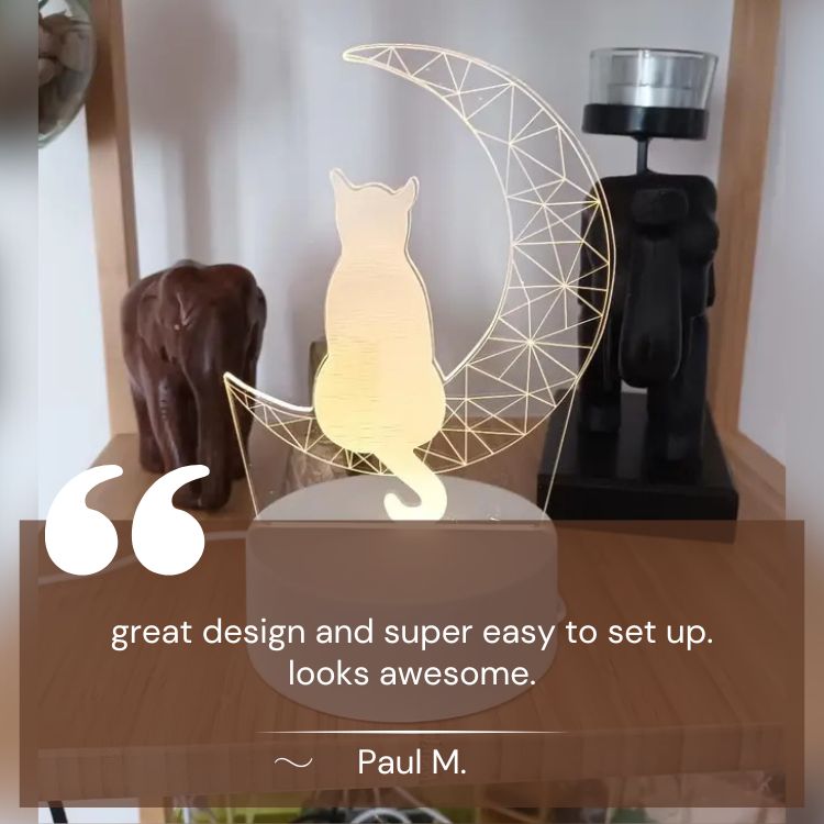 Lampe de Nuit 3D Chat Lunaire