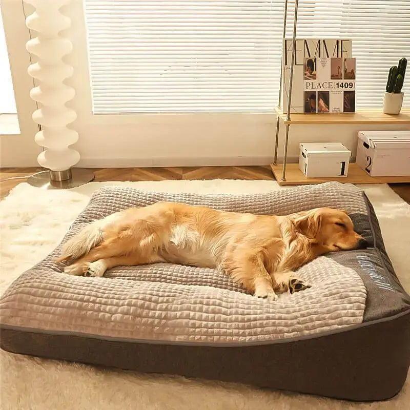 Coussin Lavable Apaisant pour Chiens pour Animaux sans Stress