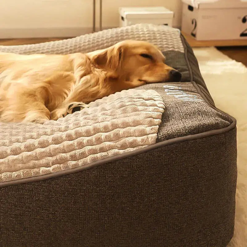 Coussin Lavable Apaisant pour Chiens pour Animaux sans Stress