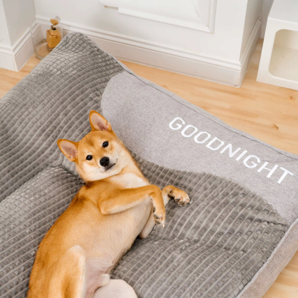 Coussin Lavable Apaisant pour Chiens pour Animaux sans Stress