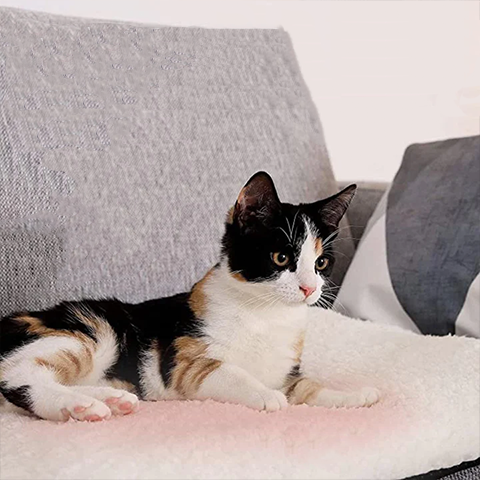 Tapis Auto-Chauffant pour Chats - Luxueux, Douillet, Sans Électricité