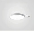Lustre Moderne Avec Fini Brillant