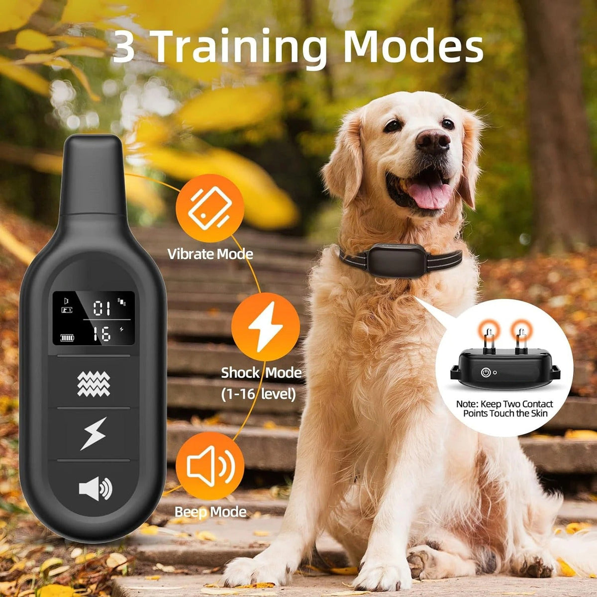 Collier de dressage pour chien étanche et rechargeable 1000m