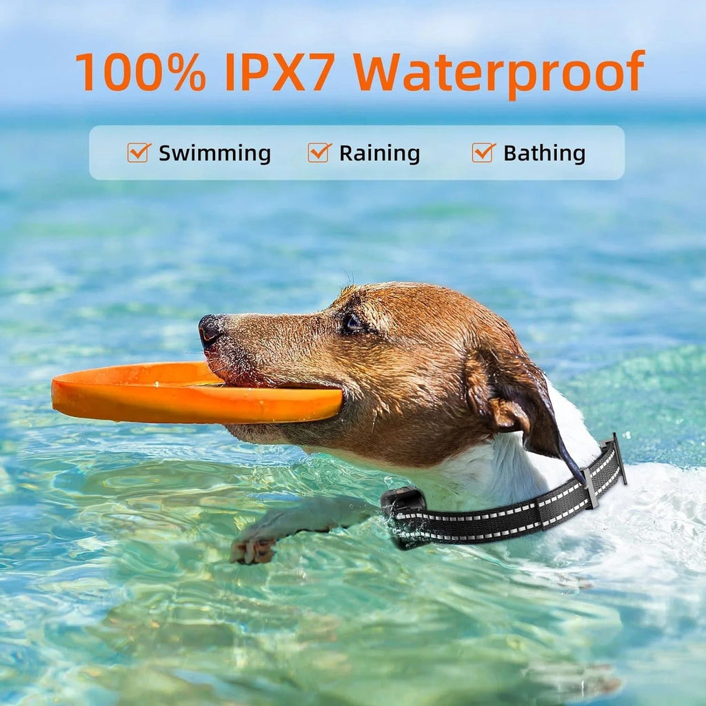 Collier de dressage pour chien étanche et rechargeable 1000m