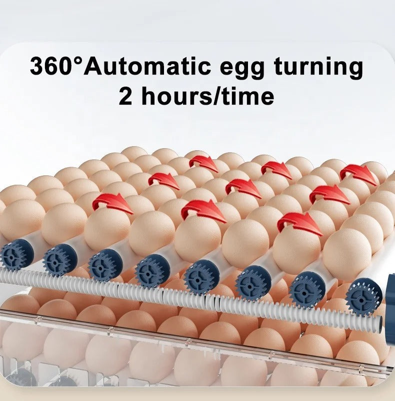 Incubateur automatique – HatchEase